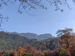 -九华山风景区