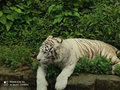 -乐和乐都主题乐园