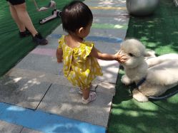 -萌宠亲子动物乐园(槐房万达店)