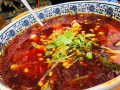 -青城甲(青城山店)