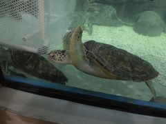 -福州罗源湾海洋世界旅游区