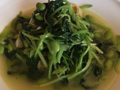 豆皮鸡毛菜-冶春茶社(官园桥店)