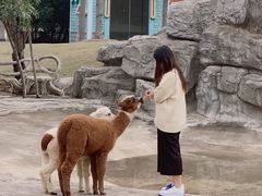 -灵玲国际马戏城