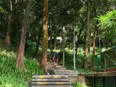 -广州雕塑公园