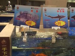 水产区-海景壹号大酒店(滨湖店)