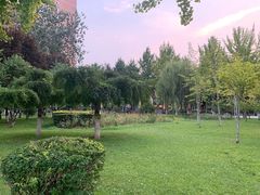 -西清公园