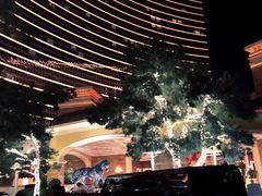 -拉斯维加斯永利酒店