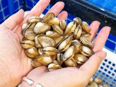 -碧海银沙海鲜餐厅(恒大海上威尼斯店)