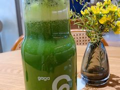 -gaga(深圳京基KKMALL店)