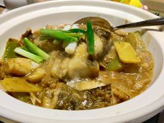 黑毛节瓜焖桂鱼-顺德喜来登酒店·采悦轩