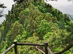 -内乡宝天曼生态旅游区