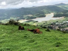 -大姆山草场