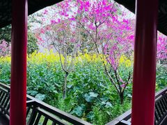 -南汇桃花村