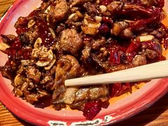 -柴窝堡22号辣子鸡·传承新疆菜