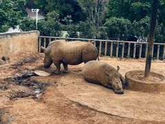 -泉州海丝野生动物世界