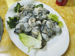 -金砂阿洲鱼册店