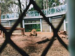 -昆明动物园