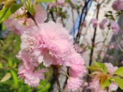 -重庆彩云湖湿地公园