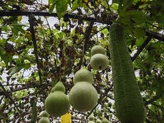 -中国天府农业博览园