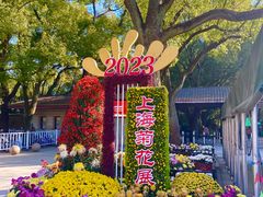 -上海共青森林公园