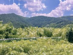 -陶祖圣境风景区