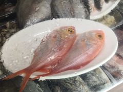 -福建美食城(老君堂店)