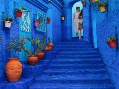 -三圣花乡旅游区