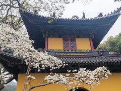 -普陀山风景名胜区-法雨禅寺