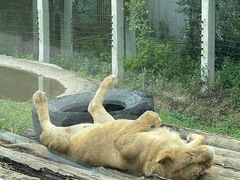 -西安秦岭野生动物园