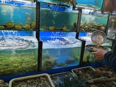 水产区-老东镇啤酒屋海鲜加工·蒸汽海鲜·海鲜烧烤(台东店)