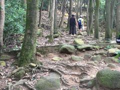 -火炉山森林公园