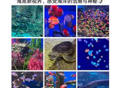 -威海华夏城景区