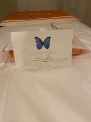 -Cocodemer女性健康·产后恢复(天一广场店)