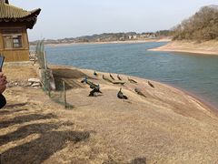 -万佛湖风景区