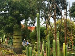 -墨尔本皇家植物园