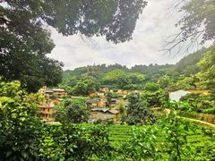 -杨家堂村