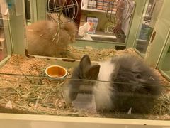 -龙猫仔乐园(惠福东路店)