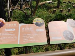 -武汉动物园