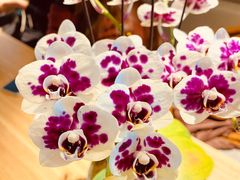 -十一咖啡(青年大街工厂店)