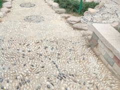 -贮水山儿童公园