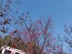 -小南山公园