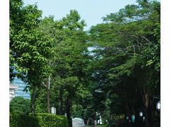-顺峰山公园