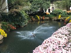 -杭州植物园