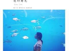 -瑞德姆美人鱼海底演艺主题餐厅(亚龙湾店)