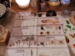 -二酉书店TOYOU BOOKS