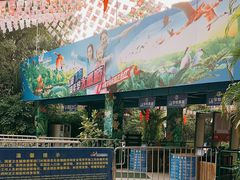 -广州长隆飞鸟乐园