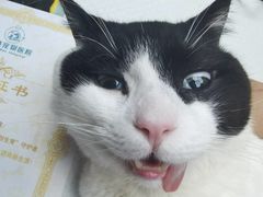 -博特宠物医院24h犬猫全科.骨科·异宠