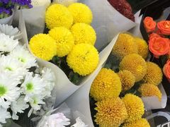 -双季花艺园艺市场(浦东店)