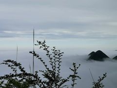 -武陵山森林公园