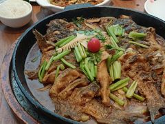 -老板恋上鱼(恒隆广场店)